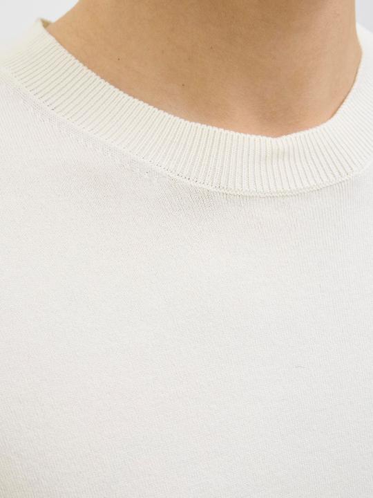 Actual product image Jack & Jones Jprccwilliam Knit Crew Neck Ss Sn (XS)