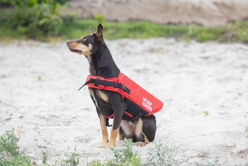 Immagine prodotto Beeztees Giubbotto di sicurezza (Giubbotto di salvataggio per cani)