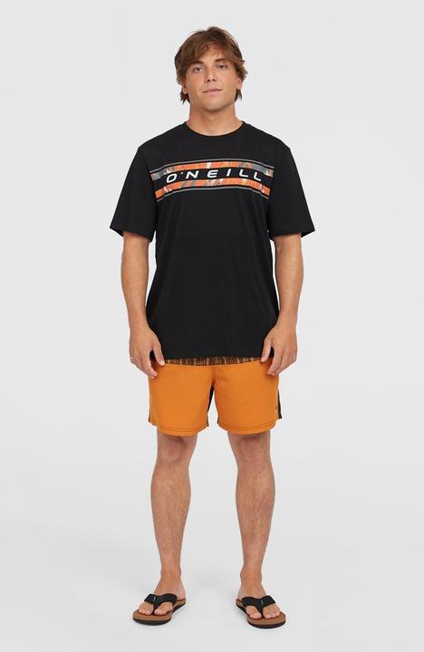Actual product image O'Neill Cali Block 15" Swimshorts (XL)
