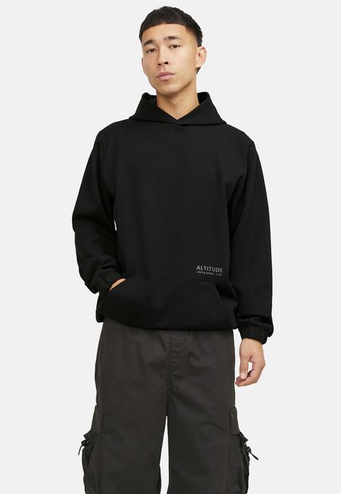 Actual product image Jack & Jones Jcoaltitude Sweat Hood Sn (S)