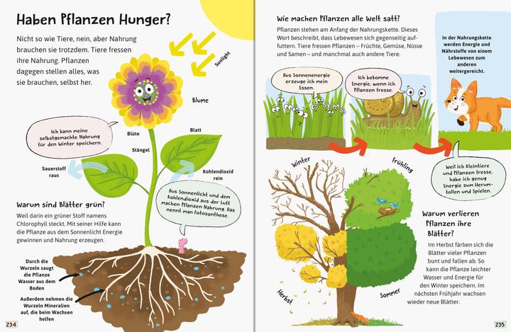Image du produit Ravensburger Alles was ich wissen will (Allemand, Anne Sheller, 2022)