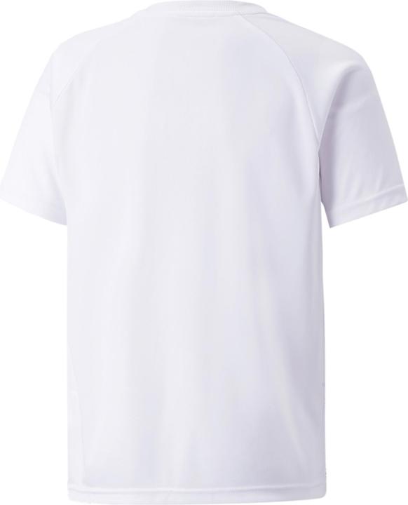 Immagine prodotto Puma maglia a righe teamLIGA Jr-704927 (176)