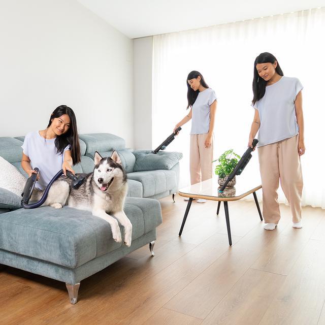 Produktbild Cecotec Conga Rockstar Micro+ Animal Schnurloser Staubsauger Grau Beutellos