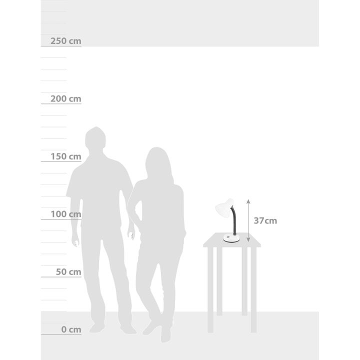 Actual product image Lipo Lucia
