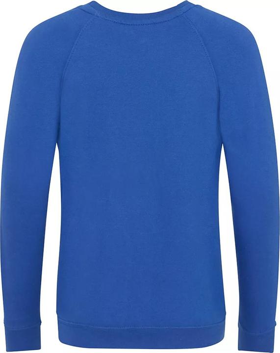 Actual product image Awdis Academy school sweatshirt round neck (pack of 2) (152)