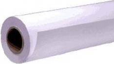 Immagine prodotto Epson Carta opaca monopeso 432mm x 40m (120 g/m², 4000 cm, 43.20 cm)