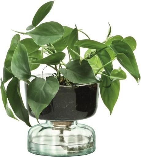 Immagine prodotto LSA Canopy vaso auto-irrigante H13cm - recy. Ottica (1 x)