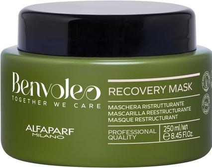 Actual product image Alfaparf Alfa Benvoleo Recovery Mask 250ml (250 ml)