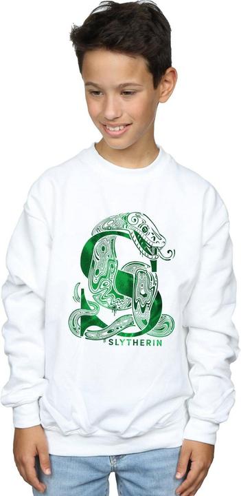 Image du produit - Sweat SLYTHERIN SNAKE - Garçon (152, 158)