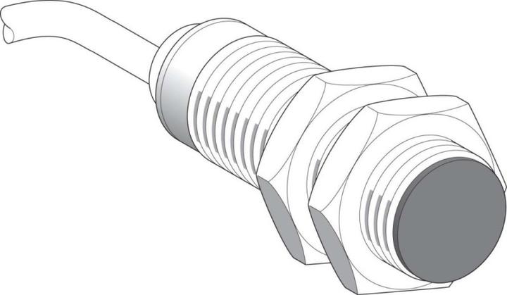 Image du produit Schneider Electric XS5-Indu. Couteau de proximité. M12, L35mm, XS512BSDBL2 (Interrupteur)