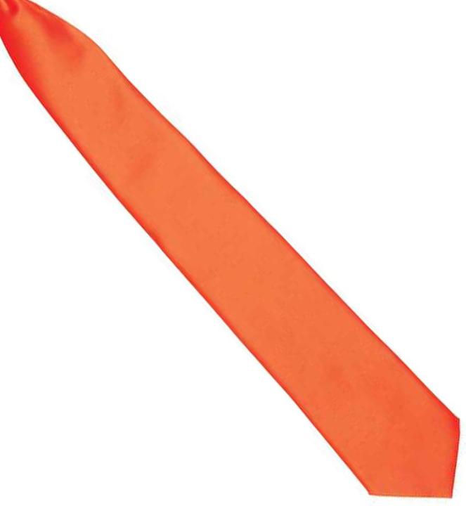 Image du produit Premier Cravate en satin à clipser