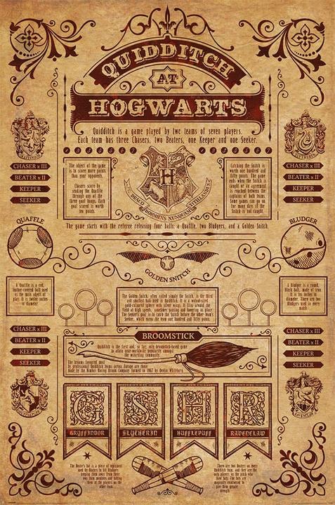 Image du produit Pyramid Harry Potter - Quidditch At Hogwarts (61 x 91 cm)