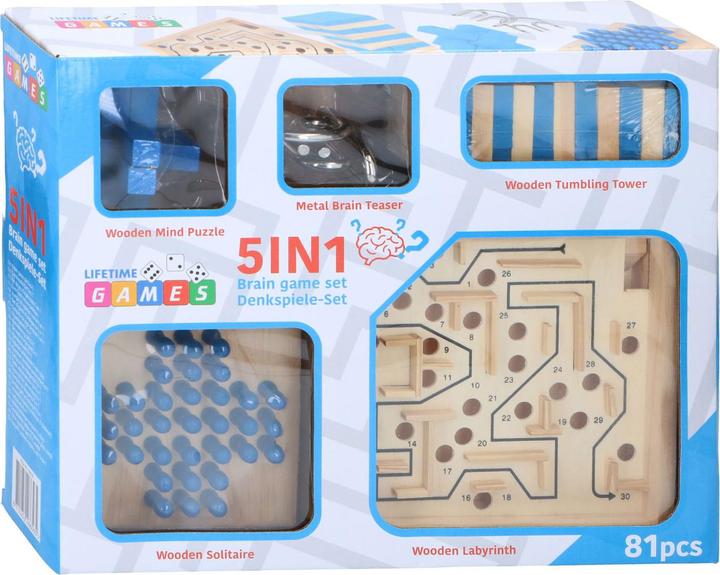 Actual product image Lifetime Brain teaser set 5-in-1, 81pcs (English)