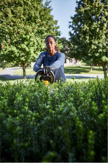 Actual product image DeWalt 54 Volt Akku-Heckenschere 65cm (Cordless hedgecutters)