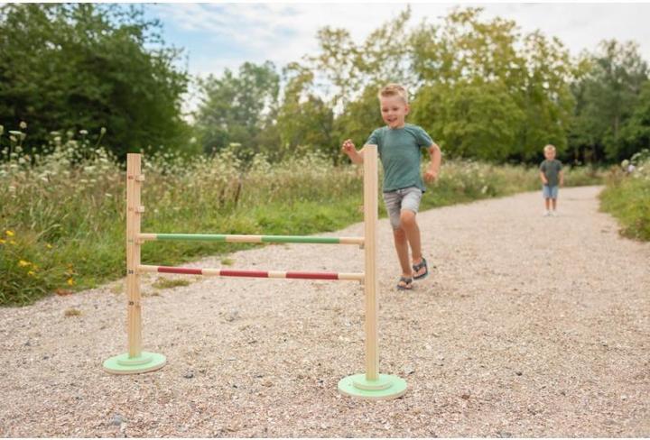 Actual product image BS Jump Hürde
