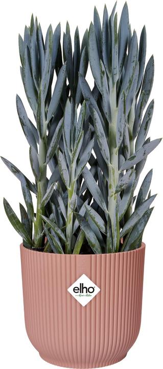 Actual product image Elho Vibes Fold (25 cm)