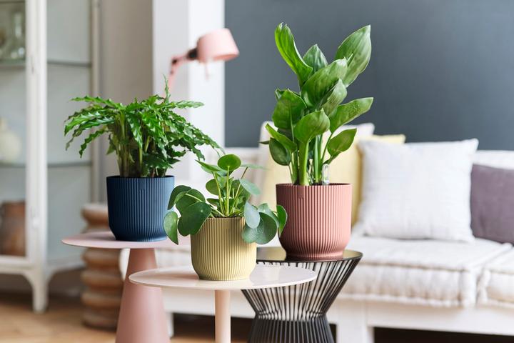 Image du produit Elho Pliage des vibrations (18.35 cm)
