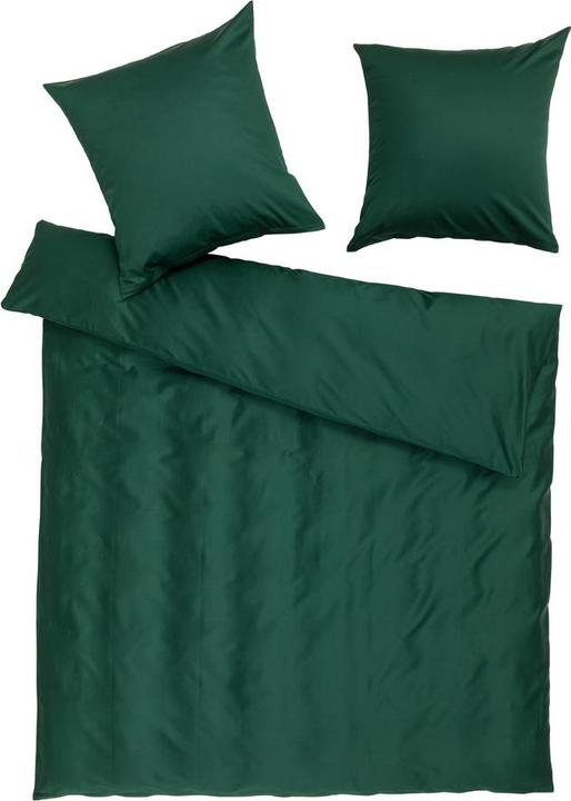 Vert foncé
