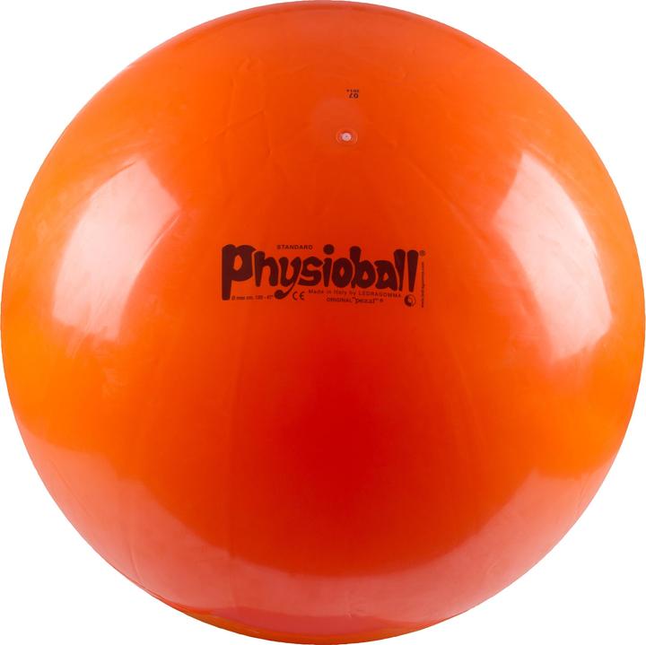Produktbild Ledragomma Original Pezziball (120 cm)