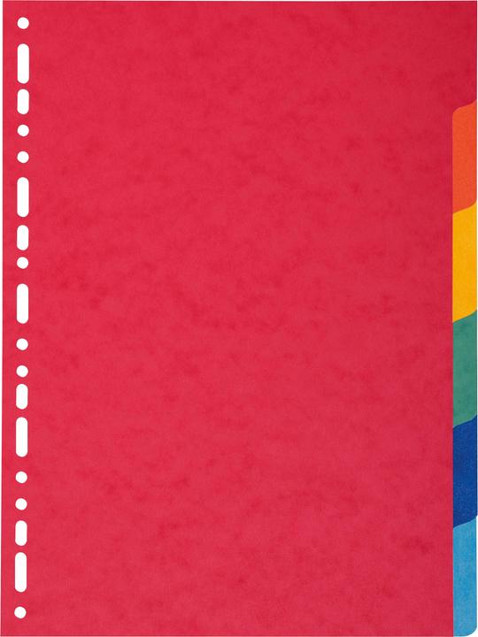 Produktbild Exacompta Blanko-Register - Karton