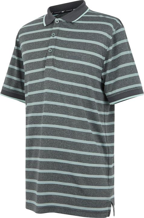 Actual product image Regatta Mens Kildra Polo Shirt (M)