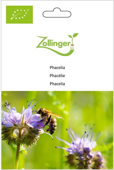 Immagine prodotto Zollinger Bio Phacelia (Semi di piante)