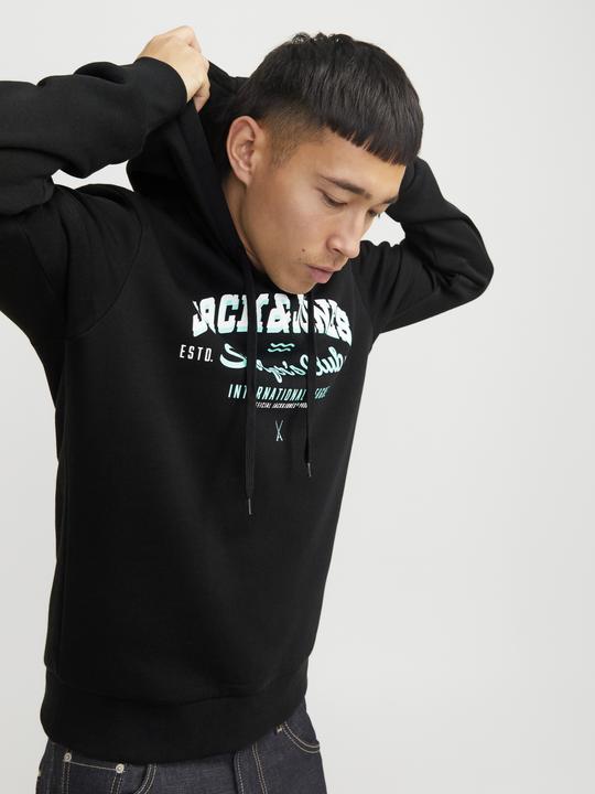 Immagine prodotto Jack & Jones JJELOGO SWEAT HOOD 2 COL 24/25 NOOS (XS)