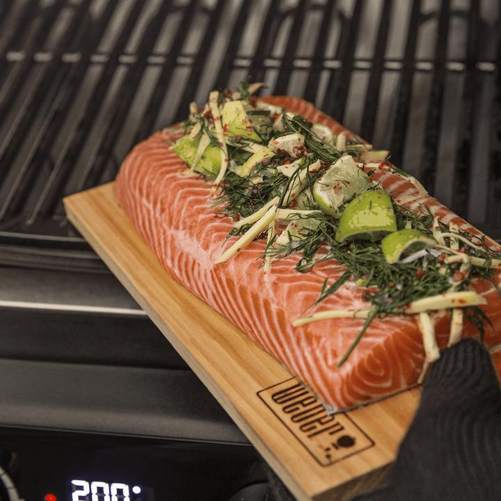 Immagine prodotto Weber Pulse 2000 con supporto (2.20 kW)