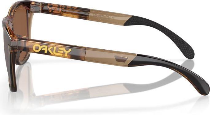 Actual product image Oakley Frogskins Range
