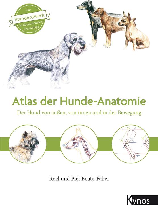 Actual product image Atlas der Hundeanatomie (German, Roel & Piet Beute-Faber, 2020)