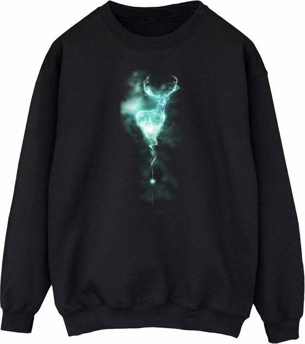 Produktbild Sweatshirt (S)