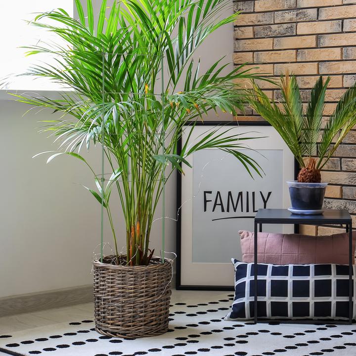 Actual product image Relaxdays 4x Rankhilfe (28 cm, 28 cm)
