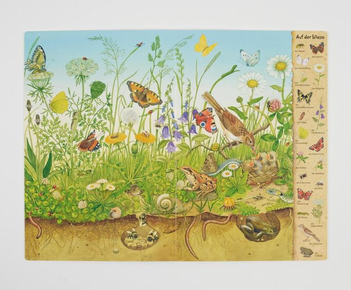 Immagine prodotto Das Riesen-Natur-Wimmelbuch (Tedesco, Christine Henkel, 2018)