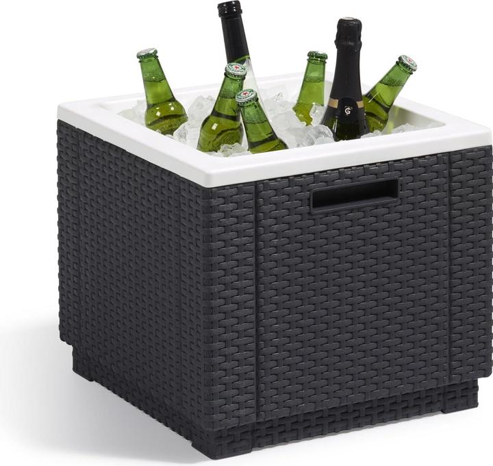 Actual product image Allibert ICE CUBE O/CUSHION ART. 201309 - ANTHRACITE (40 l)
