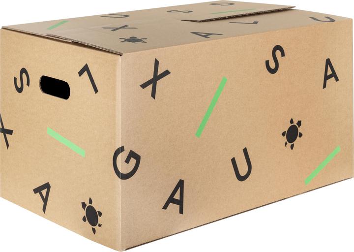 Galaxus Moving box (set of 10) (56 x 35 x 30 cm, 60 l)