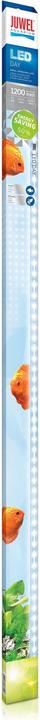 Image du produit Juwel Aquarium LED Day (LED, 31 W)