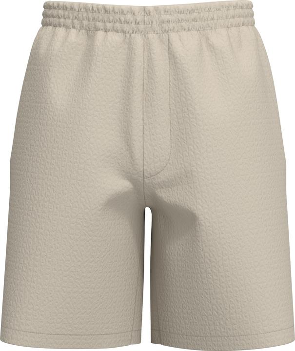 Image du produit Selected Homme Seersucker Shorts (L)