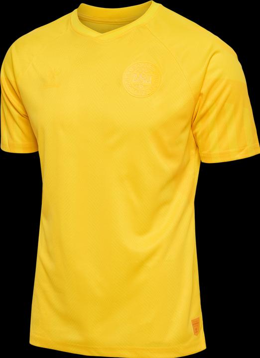 Actual product image hummel Denmark Goalkeeper World Cup Jersey (S)