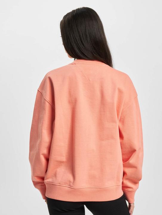 Actual product image Tommy Hilfiger Tommy Jeans Rlxd Gym Sweater - 88837 (L)