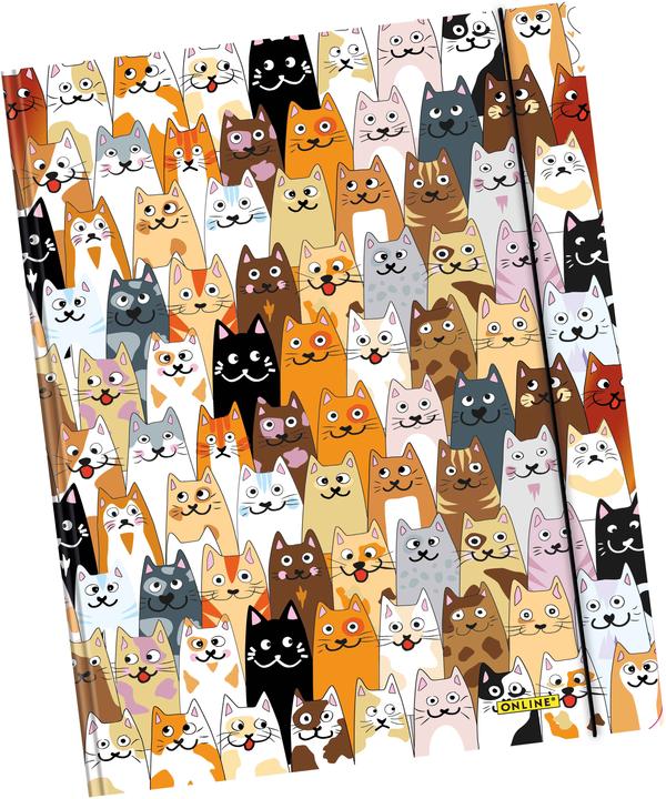 Actual product image Online A4 elasticated folder (A4)