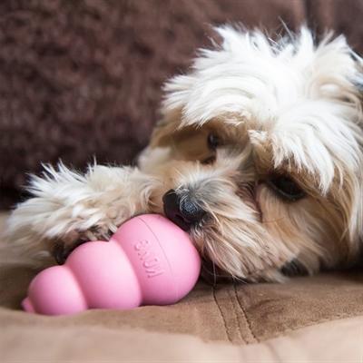 Produktbild KONG Puppy (Welpenspielzeug)