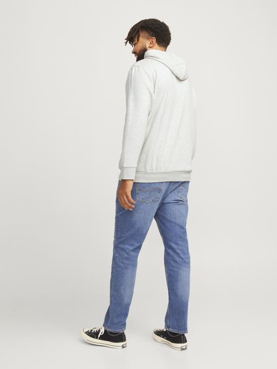 Produktbild Jack & Jones JJELOGO SWEAT HOOD 2 COL 24/25 NOOS PLS (5XL)