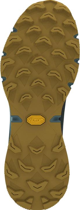 Produktbild Dynafit Ultra 100 GTX Laufschuh (44.5)
