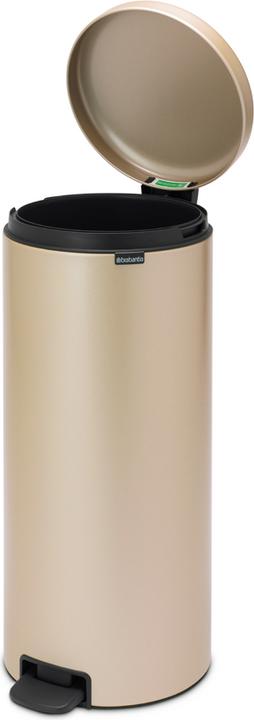 Immagine prodotto Brabantia Cestino per pedali (30 l)