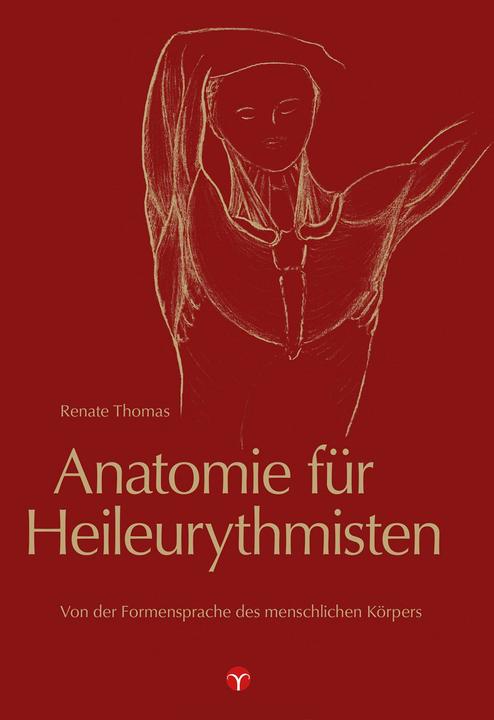 Actual product image Anatomie für Heileurythmisten (German, Renate Thomas, 2016)