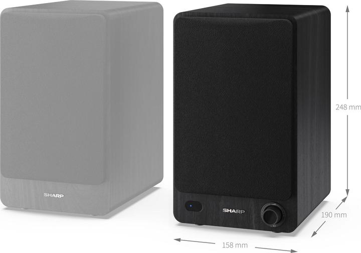Actual product image Sharp CP-SS30 (1 pair, 60 W)