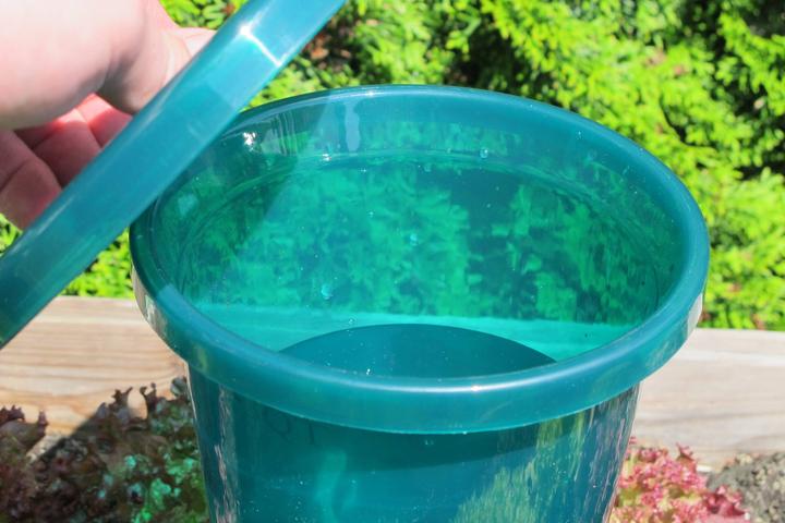 Image du produit Bio Green Ensemble de tasses Hydro (Cône d'argile)