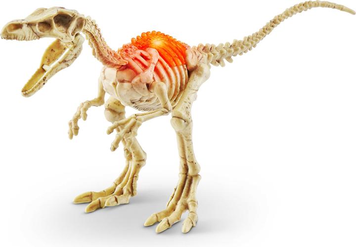 Image du produit Zuru ROBO ALIVE Dino Fossil Find Mini Surprise Egg ass.