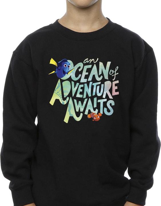 Actual product image Disney Boys Finding Dory Ocean Of Adventure Sweatshirt (152, 158)