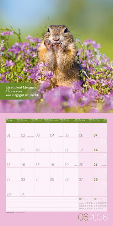 Produktbild Keep Smiling! Kalender 2026 - 30x30 (30 x 30 cm, Deutsch, Englisch, Französisch)